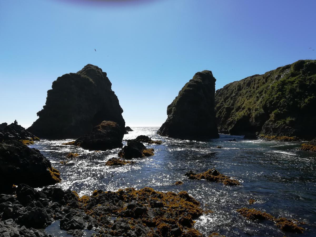 Quetalmahue Holiday home