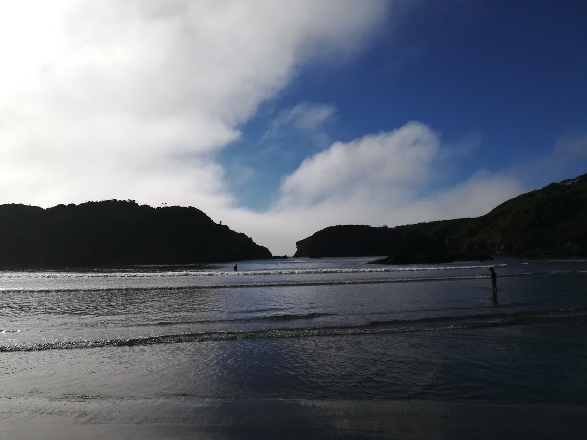 Quetalmahue *